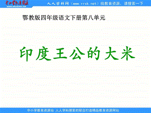 鄂教版四年级下册印度王公的大米课件.ppt