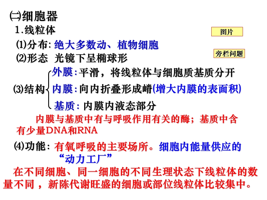 细胞的结构和功能-细胞质.ppt_第2页