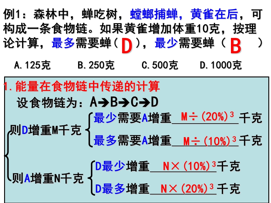 生态系统能量流动的相关计算.ppt_第2页