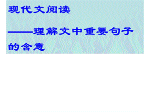 理解文中重要句子.ppt