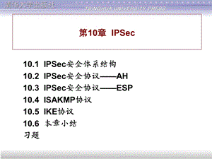 计算机网络安全基础-第10章.ppt