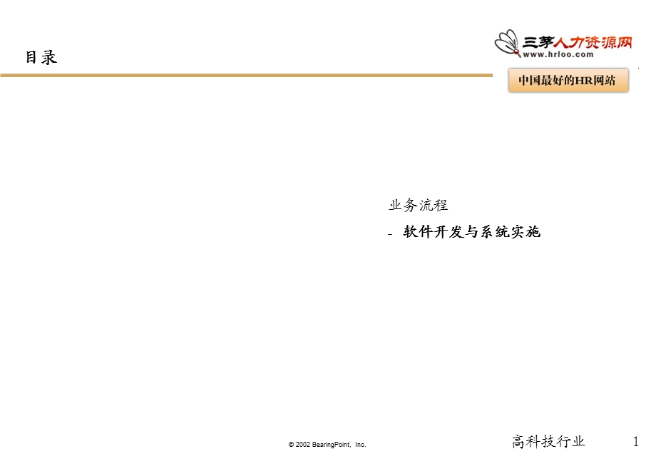 软件开发和系统实施.ppt_第1页