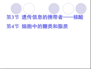 轮复习必修一核酸、糖类和脂质.ppt