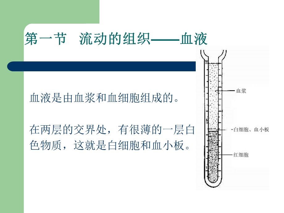 生物复习第四章人体内物质.ppt_第2页