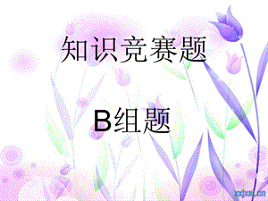 百科知识竞赛PPT-B组题.ppt