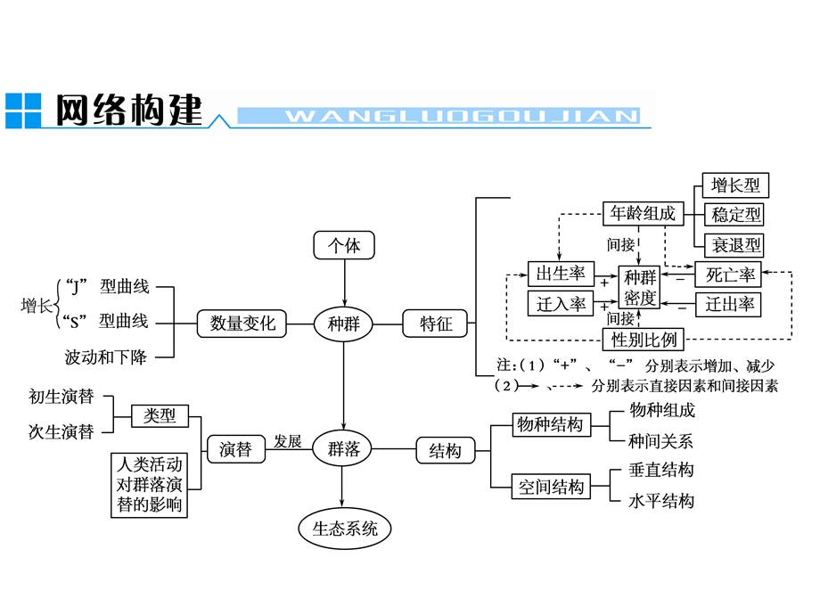 种群数量、种群密度、群落结构、群落演替.ppt_第1页