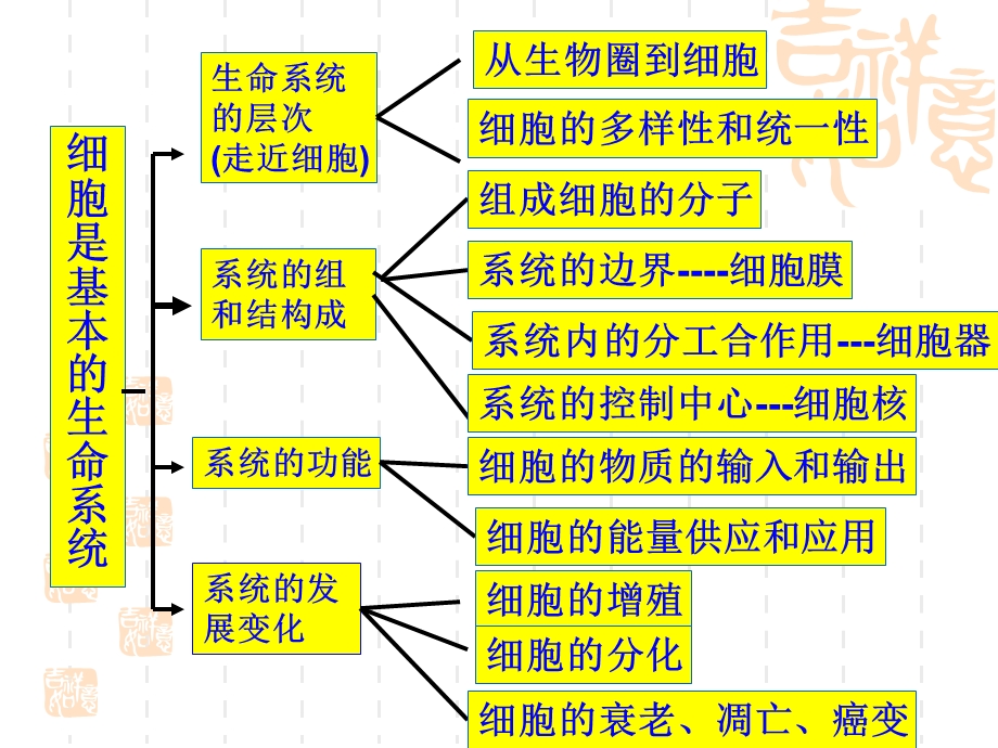 走进细胞学业水平复习提纲.ppt_第2页