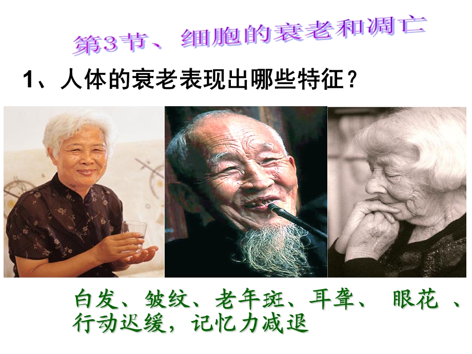 细胞的衰老与凋亡(课堂).ppt_第2页