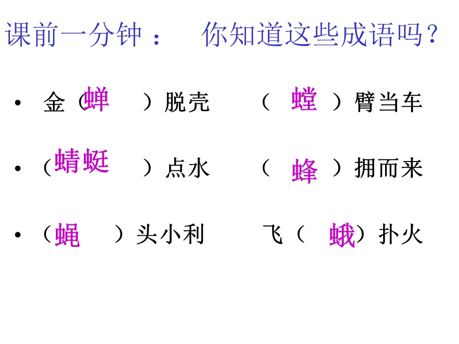 绿色蝈蝈课件终极版.ppt_第1页