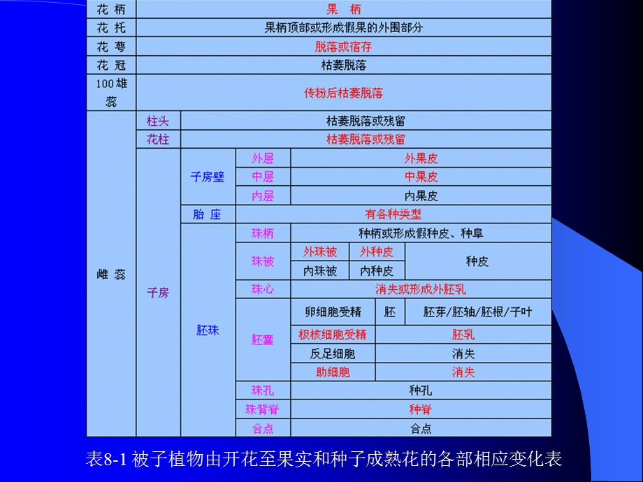 药用植物学课件5(果实和种子).ppt_第2页