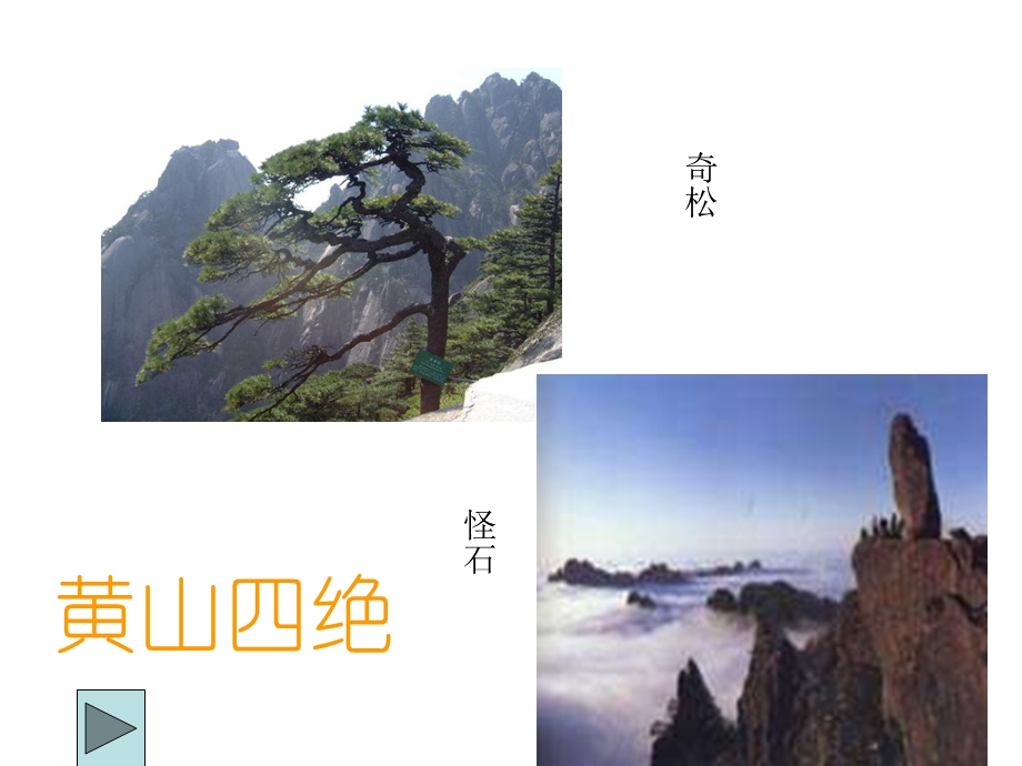 苏教版小学四年级语文黄山奇松.ppt_第3页