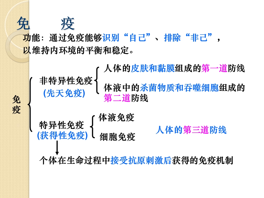 生物《人体免疫系统与稳态》课件中图版.ppt_第2页