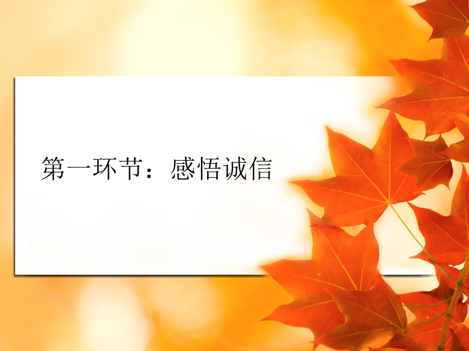 诚信是金公开课.ppt_第3页