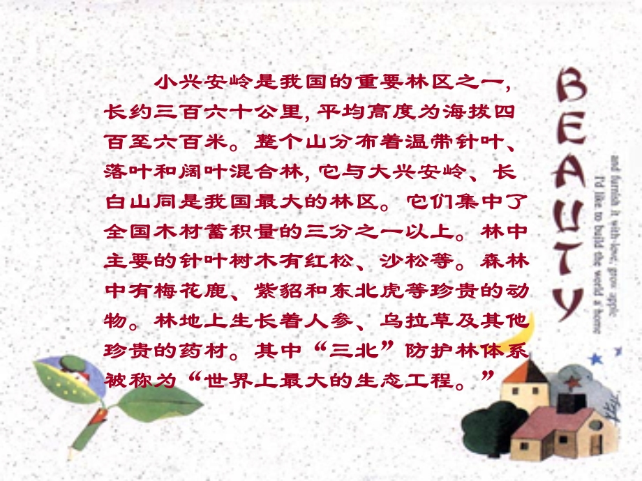 美丽的小兴安岭课件(小学语文三年级课件).ppt_第2页