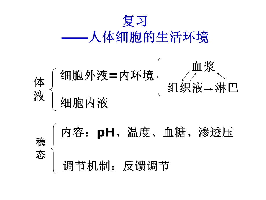 苏教版教学课件江苏省南京市东山外语国际学校高三生物《人体体温调节》课件.ppt_第2页