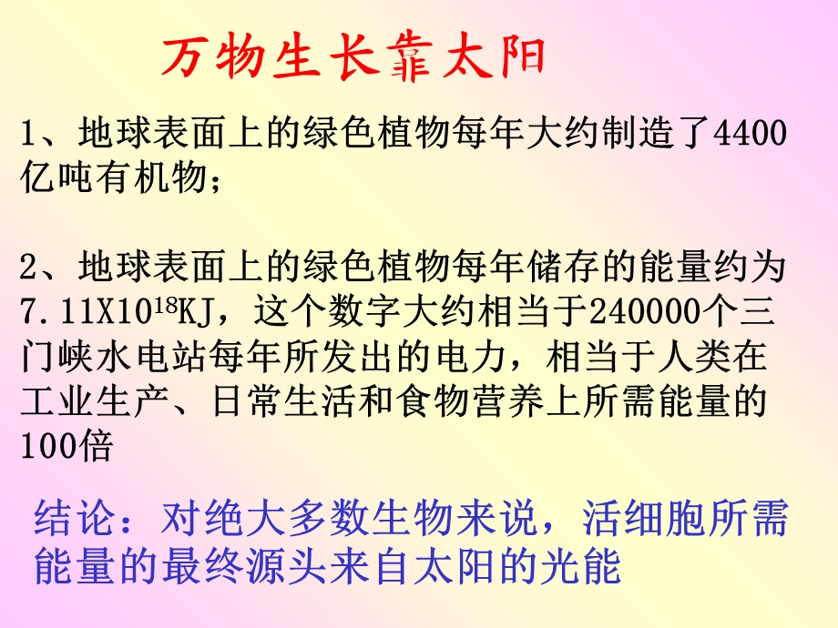 生物必修第一课时捕获光能的色素和结构.ppt_第2页