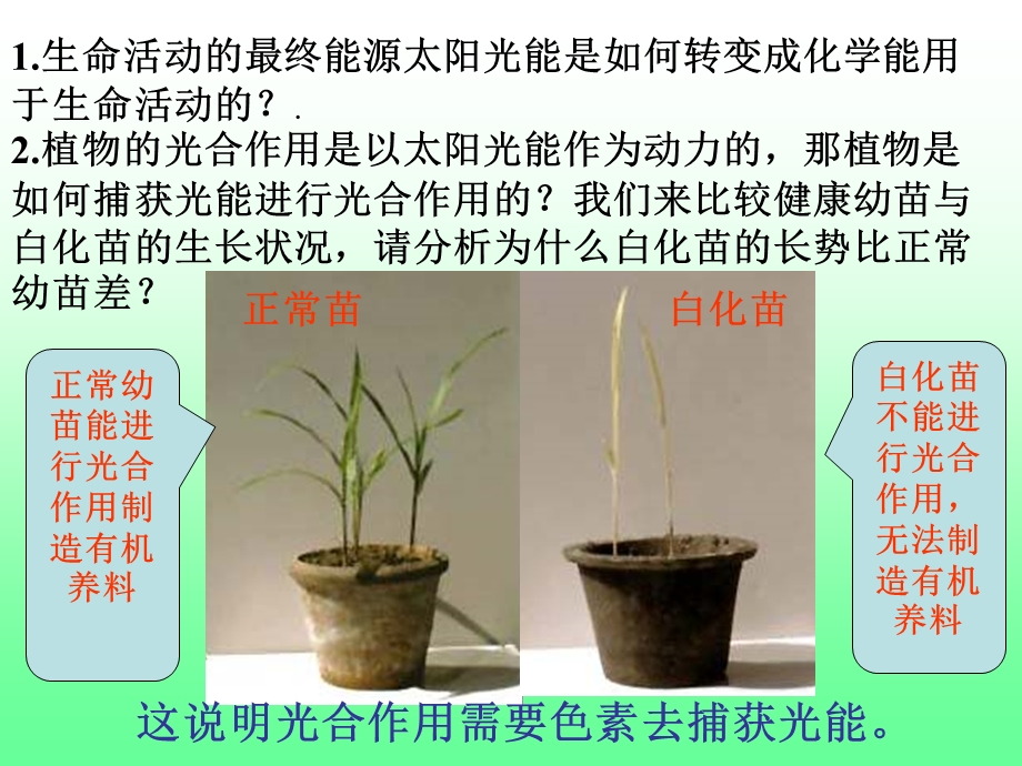 生物必修第一课时捕获光能的色素和结构.ppt_第3页