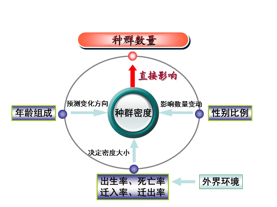 种群的数量特征和数量变化.ppt_第3页