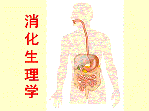 生理学消化系统知识PPT.ppt