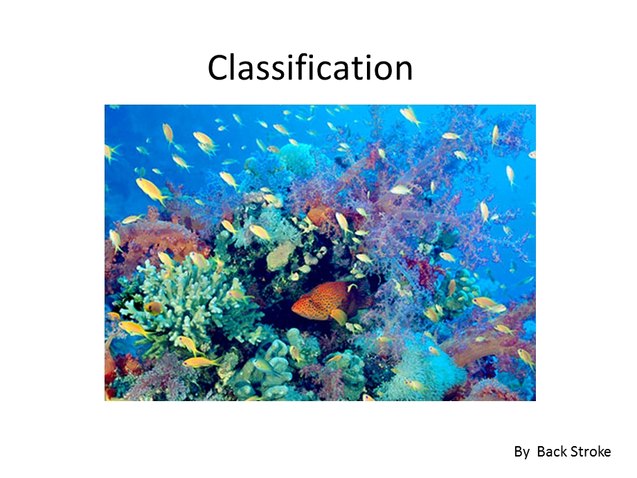 生物分类Classifica.ppt_第1页