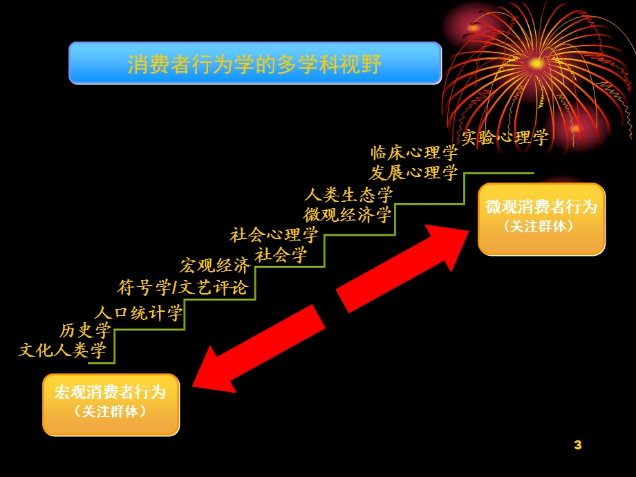 消费者行为学消费者行为的影响因素.ppt_第3页