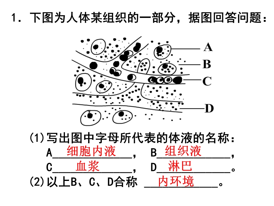 生物复习(必修生物).ppt_第1页