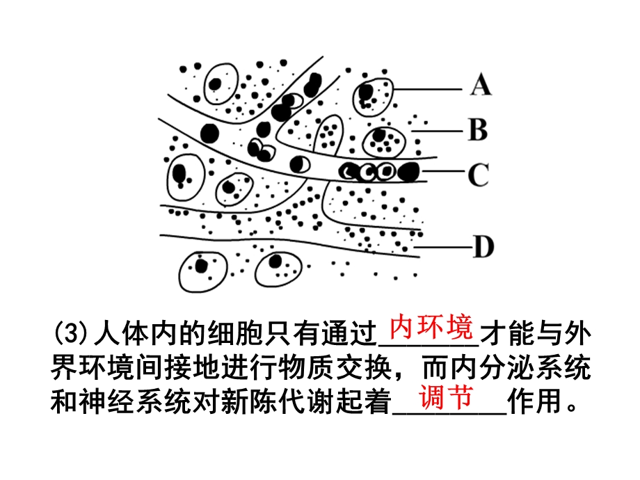 生物复习(必修生物).ppt_第2页