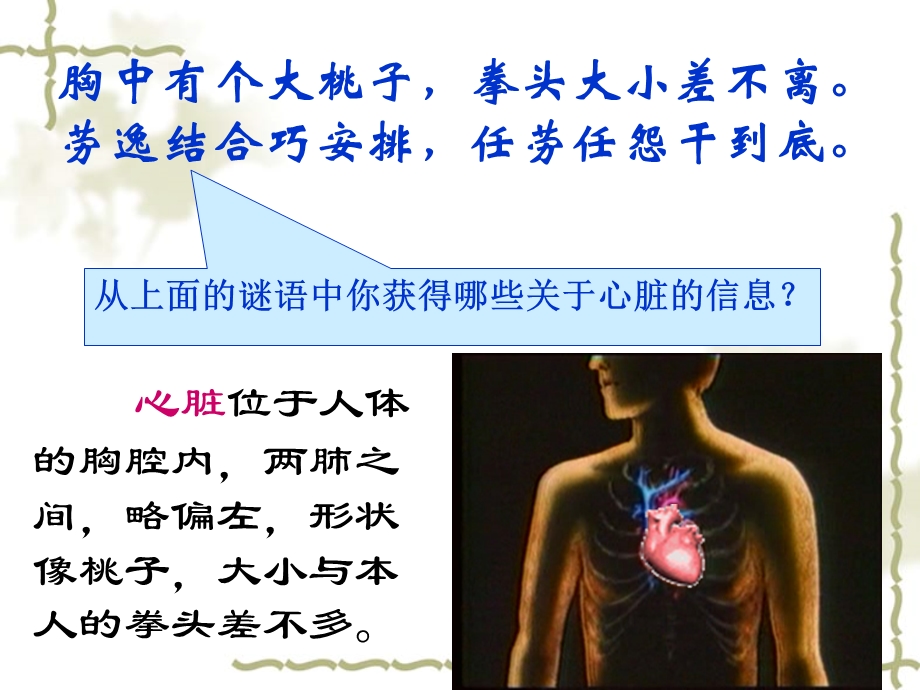 苏教版科学五上心脏和血液循环 郭志利.pptx_第2页