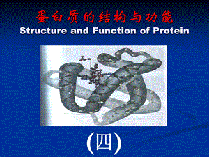 蛋白质结构与功能3ppt.ppt