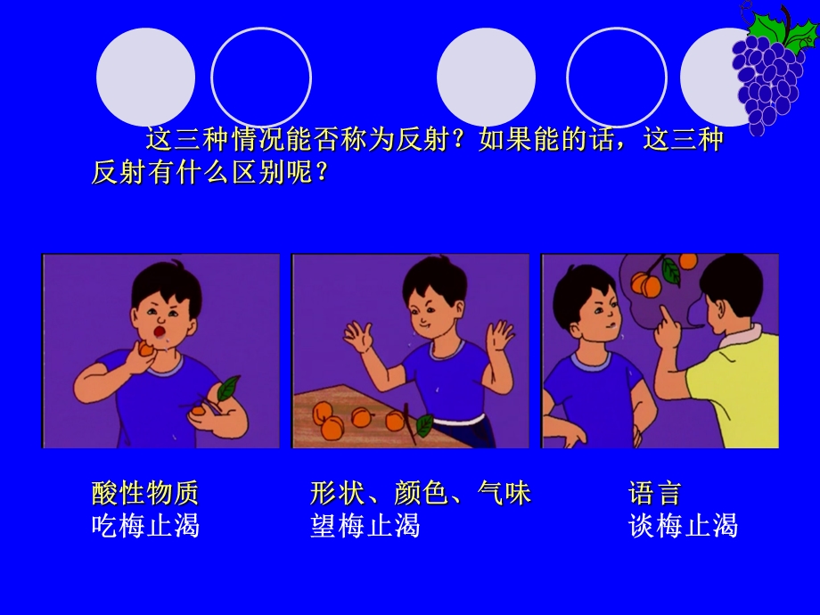 神经系统与神经调(第三课时).ppt_第3页