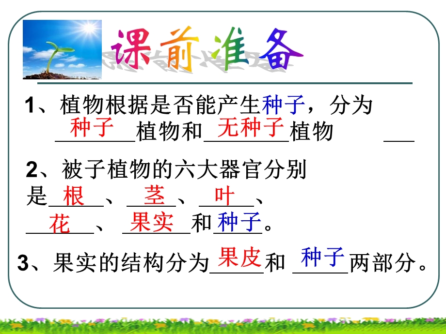 种子的结构(胡付花磨).ppt_第2页