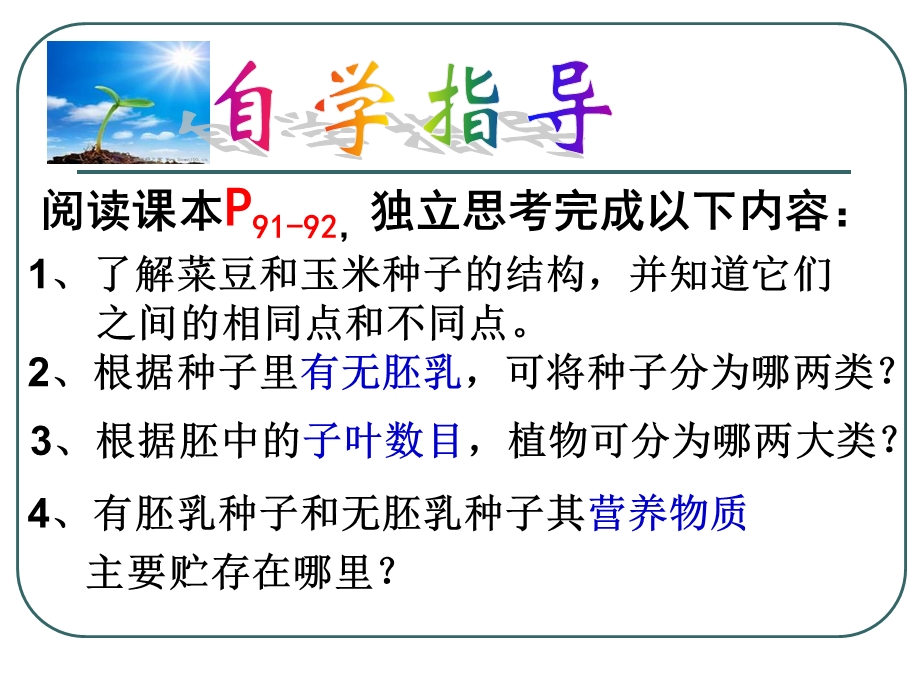 种子的结构(胡付花磨).ppt_第3页