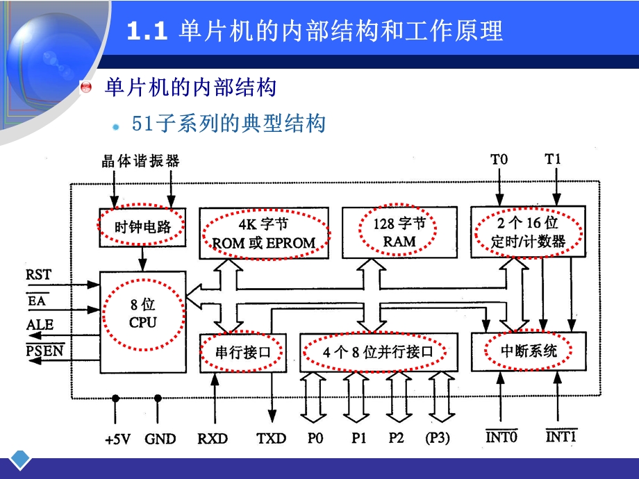 系列单片机基本硬件系统及开发环境.ppt_第3页