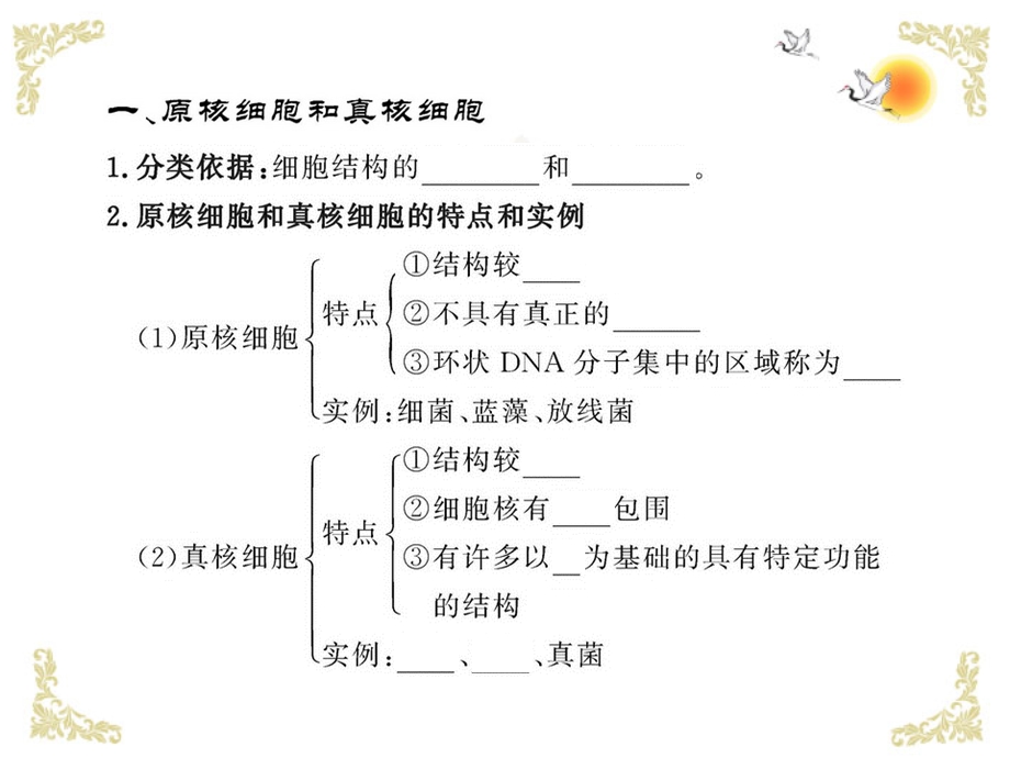 细胞的类型、细胞膜和细胞壁.ppt_第3页