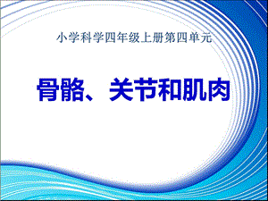 科教版四上《骨骼、关节和肌肉》课件.ppt