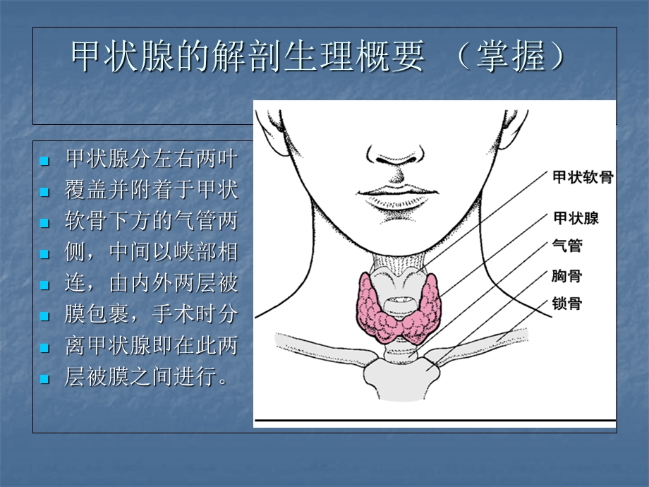 甲状腺疾病病人的ppt.ppt_第2页