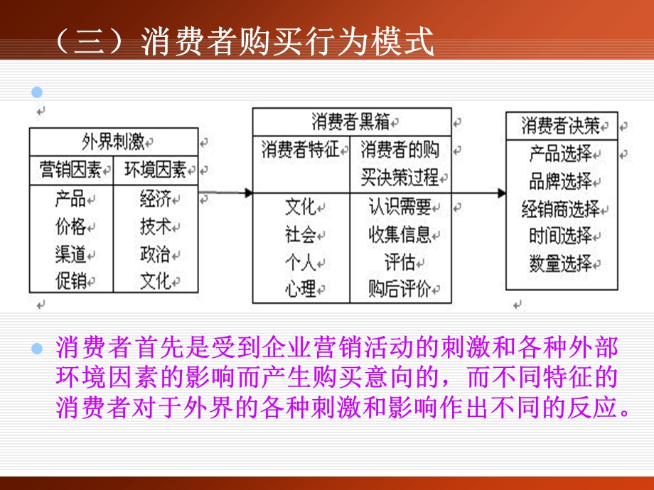 消费者市场分析课件.ppt_第2页