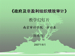 经济效益审计第四讲(公共组织绩效审计).ppt