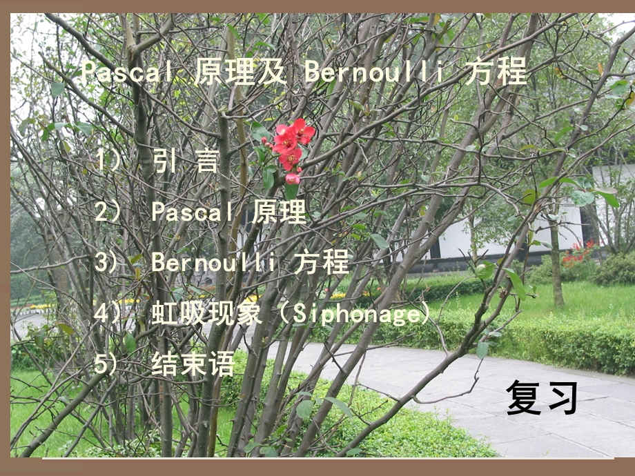 表面张力和毛细现象-修改.ppt_第2页