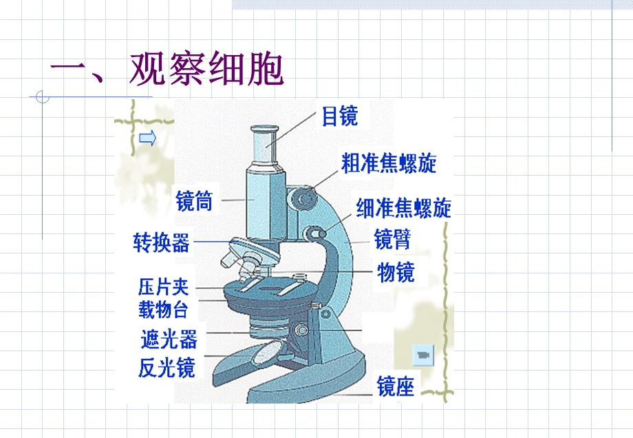 生物必修多样性和统一性.ppt_第2页