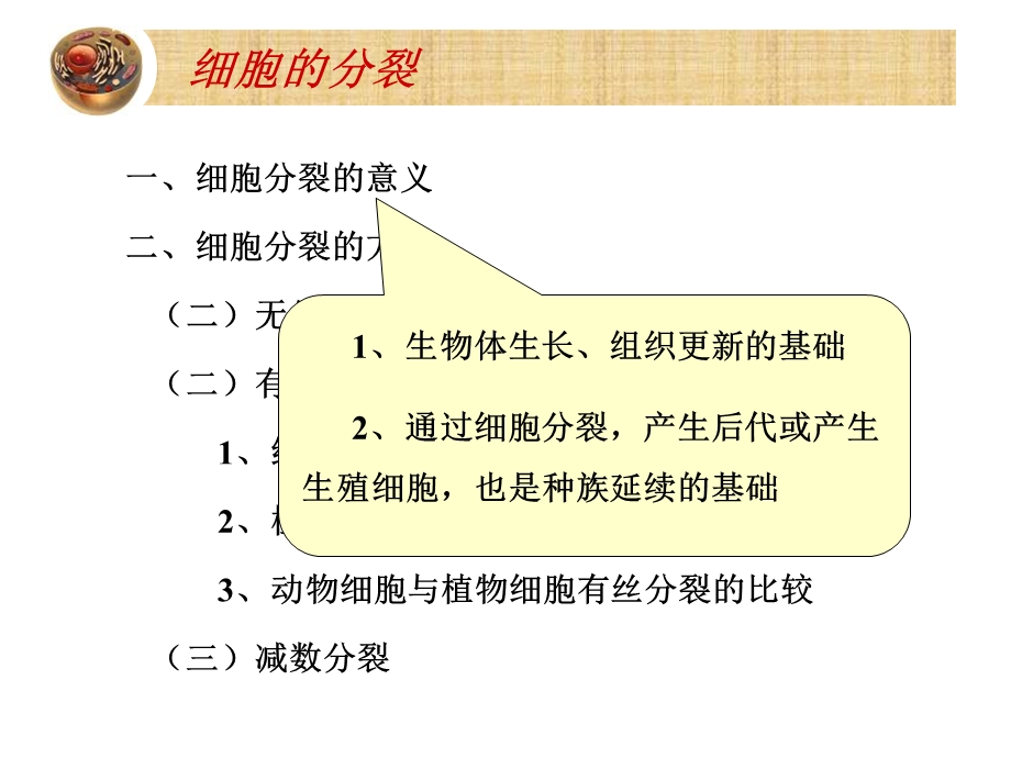 细胞的增殖(生物).ppt_第2页