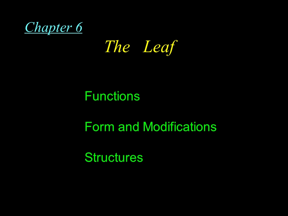 药用植物学教案-叶的形态与结构.ppt_第1页