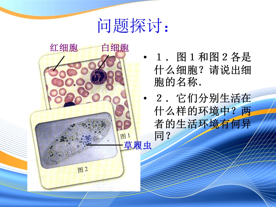 生物必修3第一章第一节细胞生活的环境.ppt_第3页