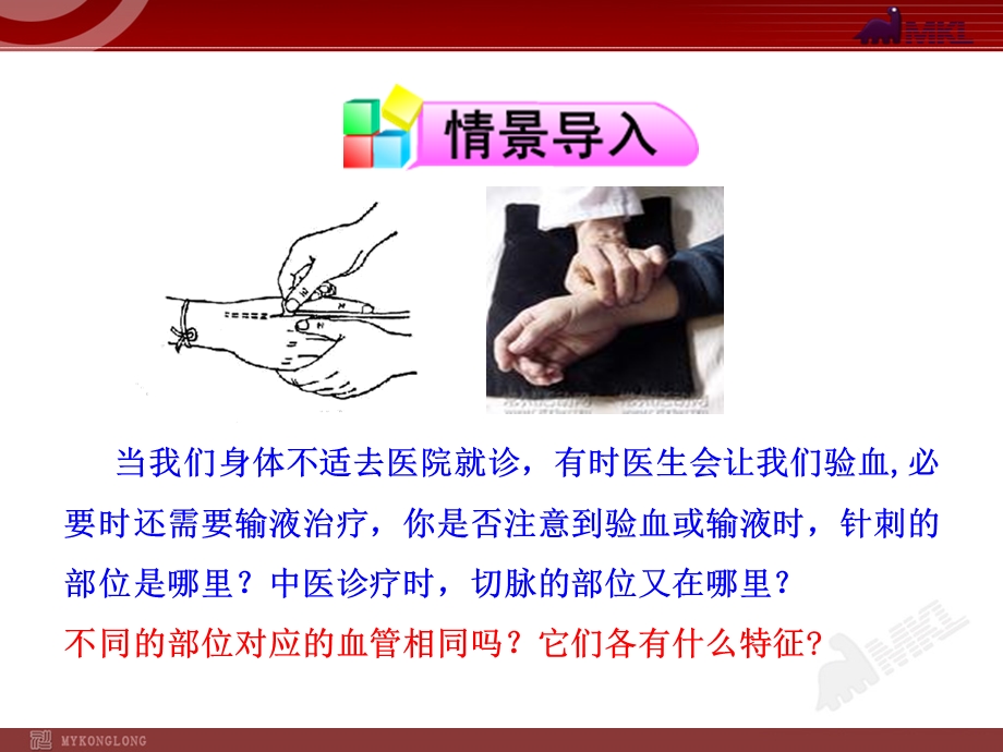 血流的管道-血管七年级下册.ppt_第2页