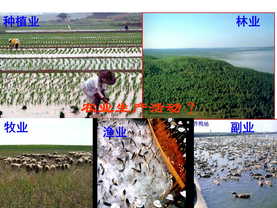 湘教版农业区域因素与农业地域类型第一课时.ppt_第2页