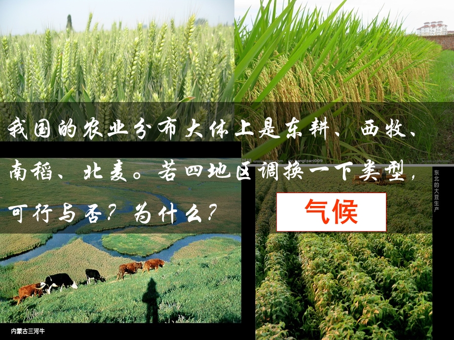 湘教版农业区域因素与农业地域类型第一课时.ppt_第3页