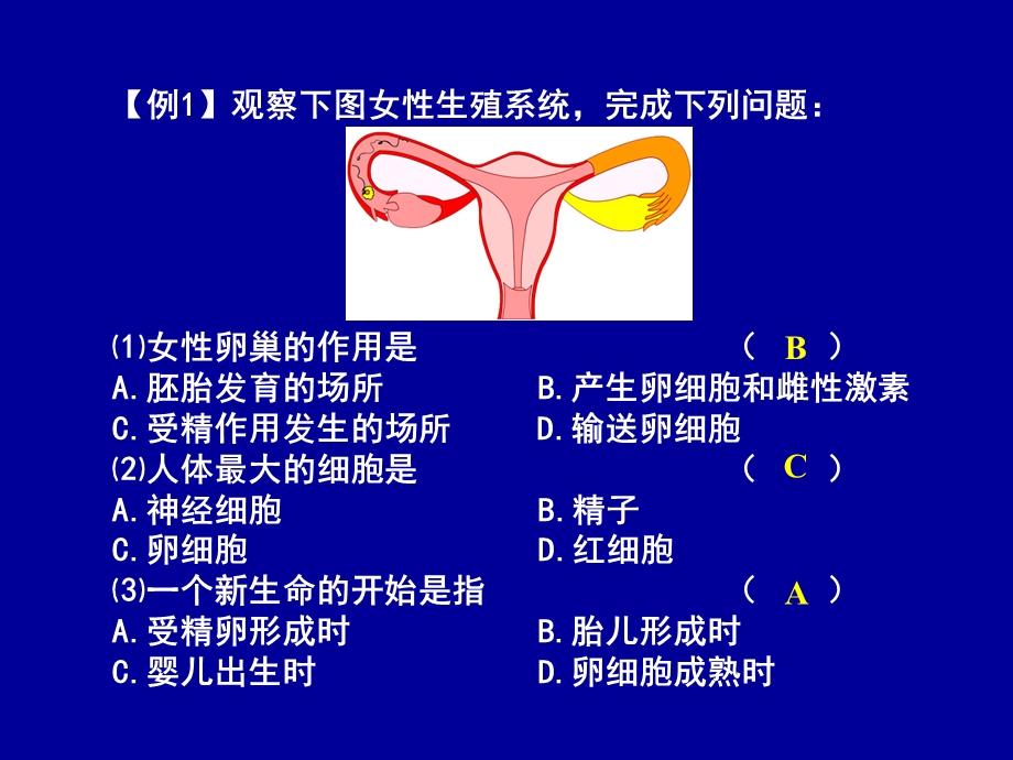 苏科八上第18章复习.ppt_第3页