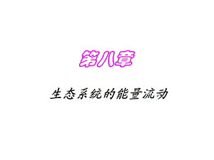 生态系统的能量流动yong.ppt