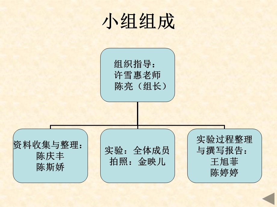 研究性学习答辩PPT参考.ppt_第3页