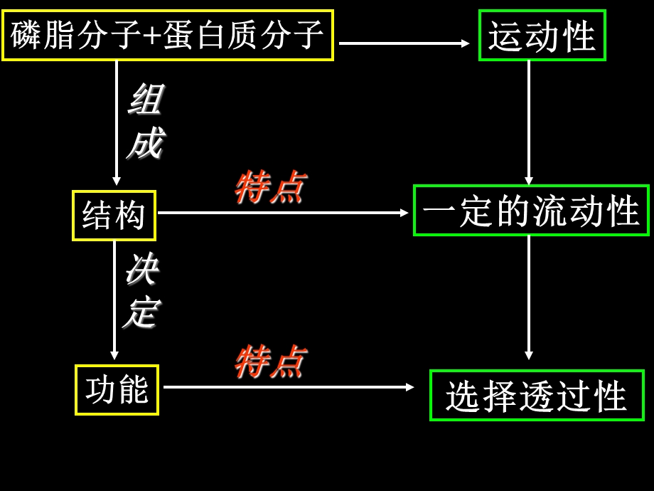 生物必修一第2章细胞的结构.ppt_第3页